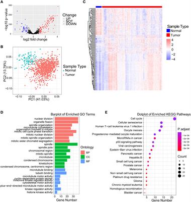 Identification of a centrosome-related prognostic signature for breast cancer